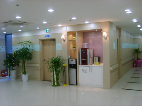 남양주 금곡동 신경외과 유명하고 잘하는 곳 추천 TOP 5