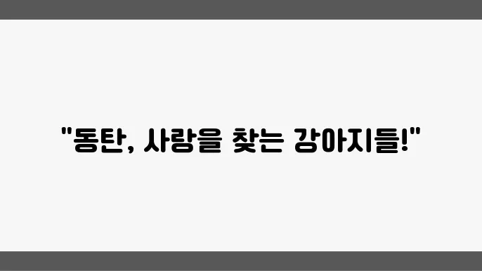 유기견보호소 특별한 만남 돐탄유기쫅보호소
