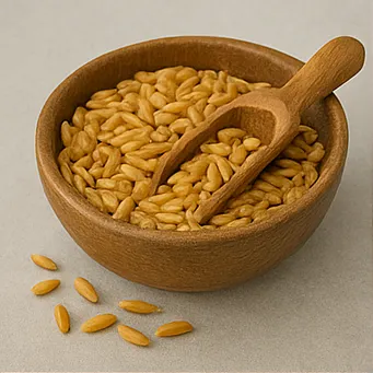 카무트 효소 효능3