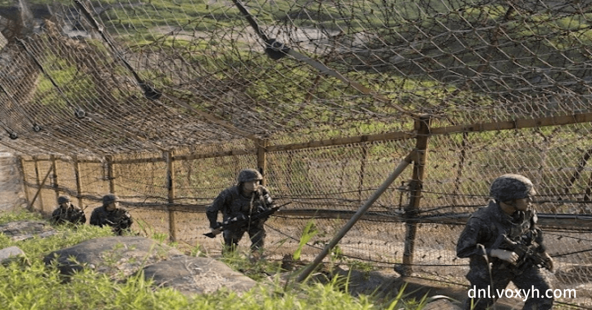 DMZ 의 경계선 군인들 모습