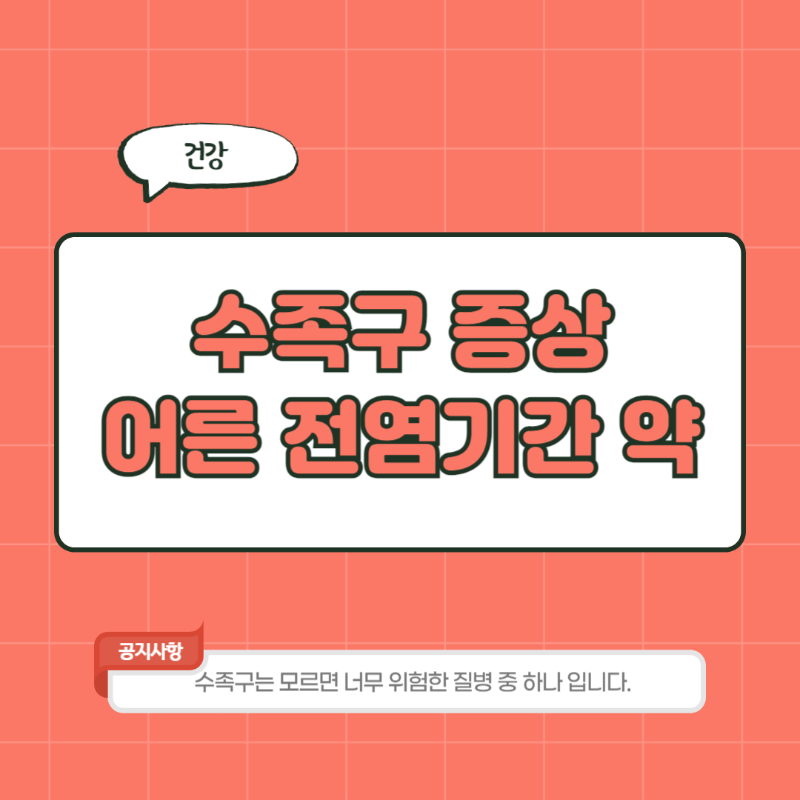 수족구 증상 격리시간 어른 전염기간 잠복기간 구내염 약 초기증상 수포