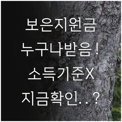 보은 민생지원금 소득기준 철폐 및 1..
