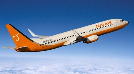 무안공항 제주항공 사고 철새도래지가 원인인가