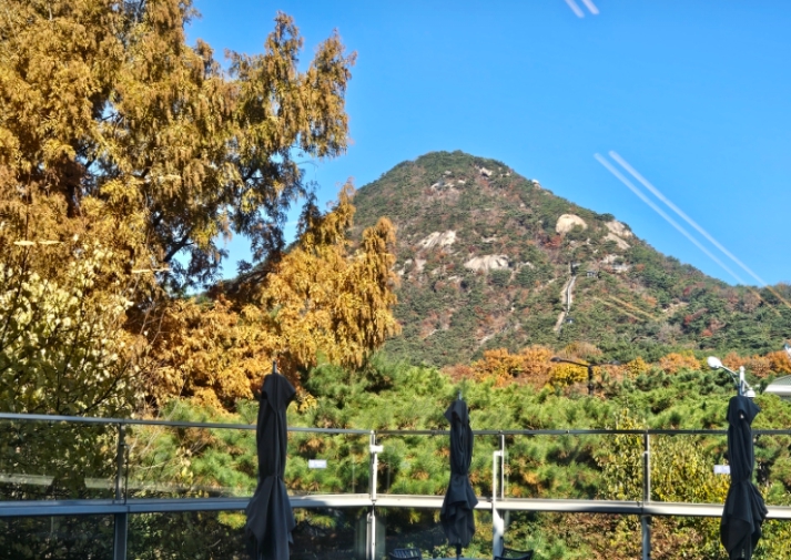 당일치기/국내/나들이/서울/청와대/사랑채