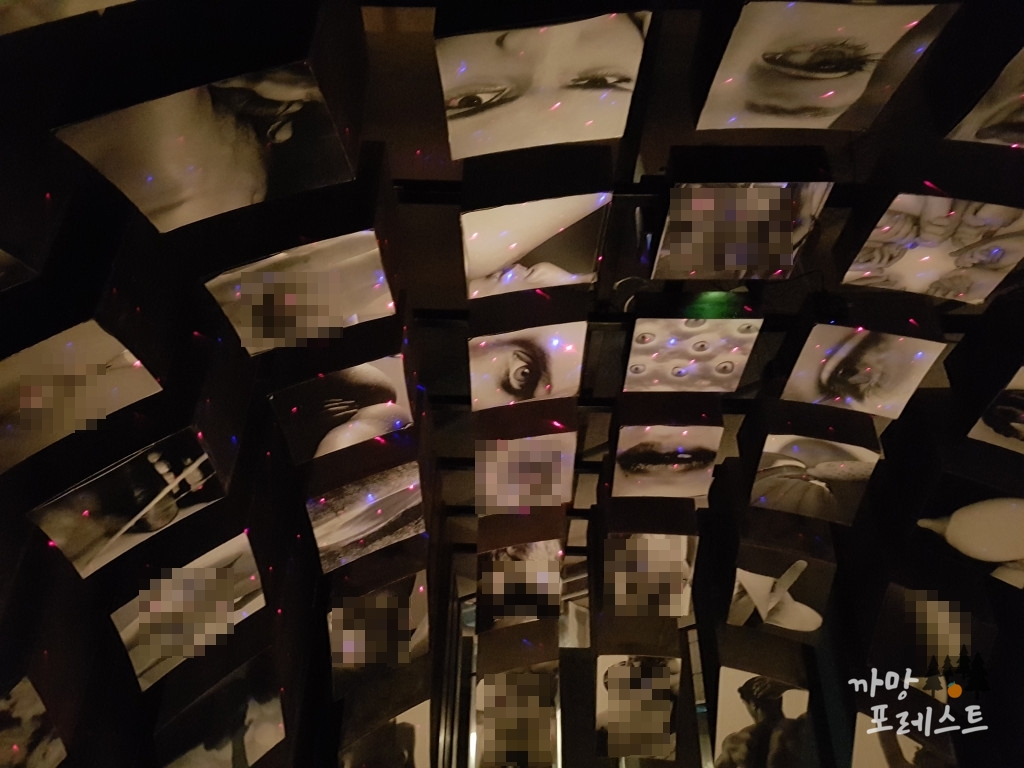 건강과 성 박물관 전시