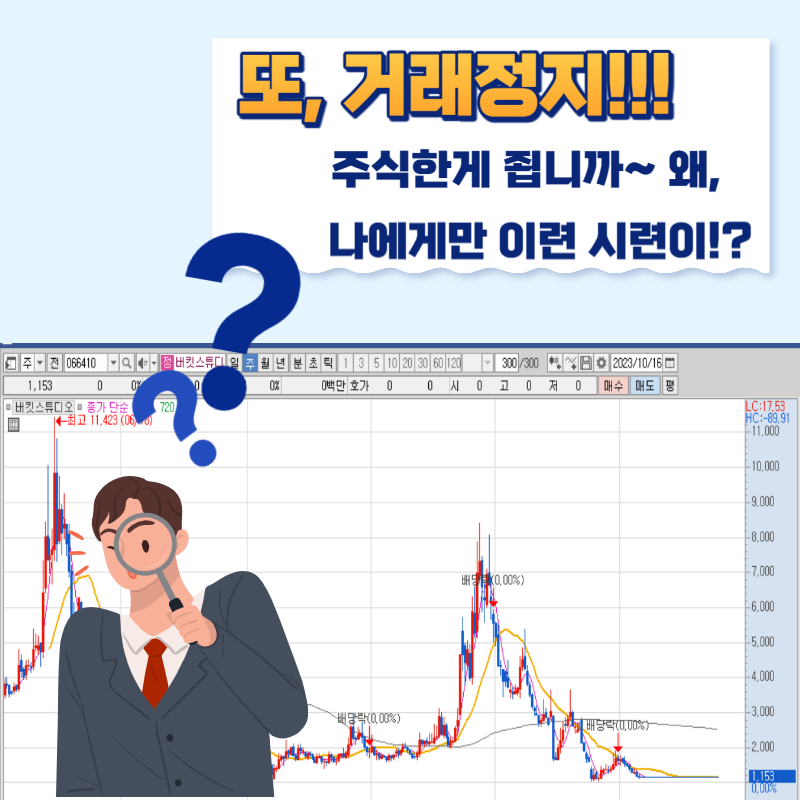 2023 한국 주식시장의 파란만장한 여정: 개미들의 피눈물과 거래정지 기업들의 진짜 이야기