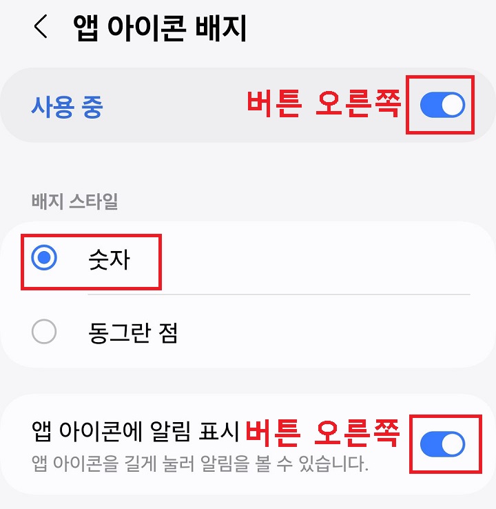 앱 아이콘 배지 설정 페이지 보임