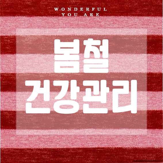 봄철 건강 비법 총정리: 면역력과 알레르기 관리