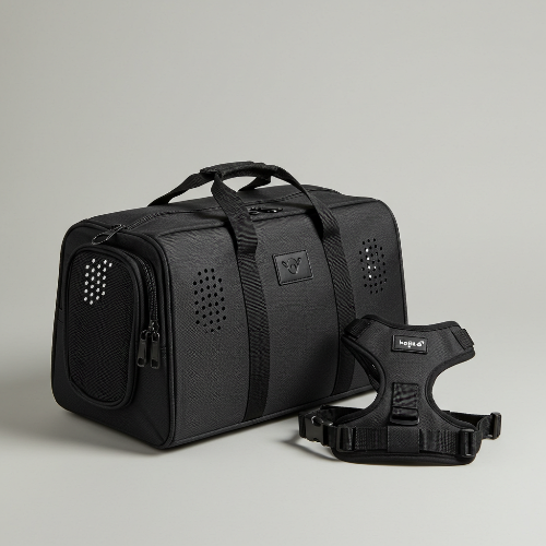 반려동물 이동장치