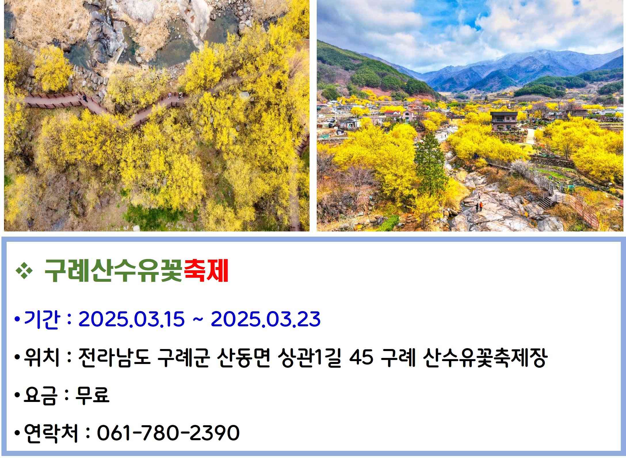 구례산수유꽃축제