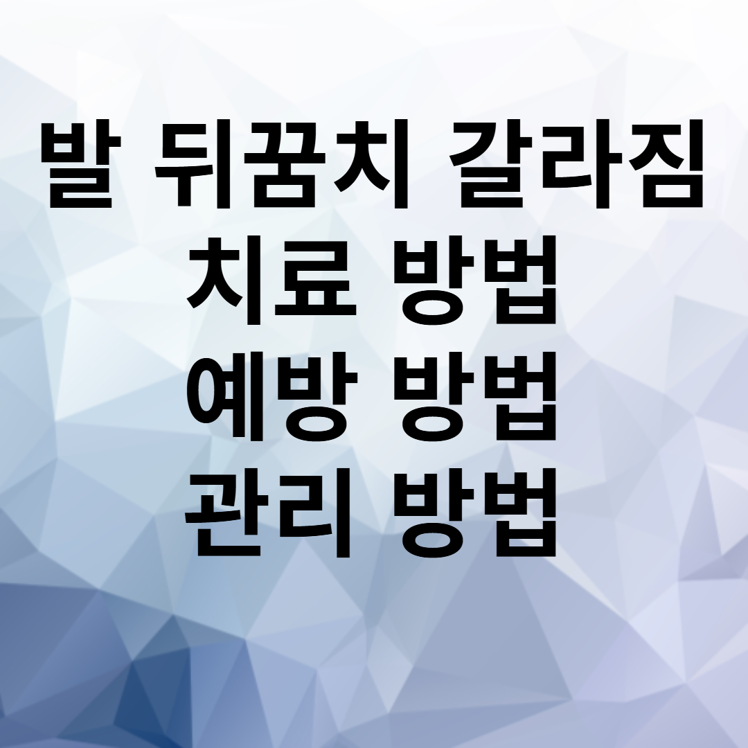 발 뒤꿈치 갈라지는 이유 관리 방법