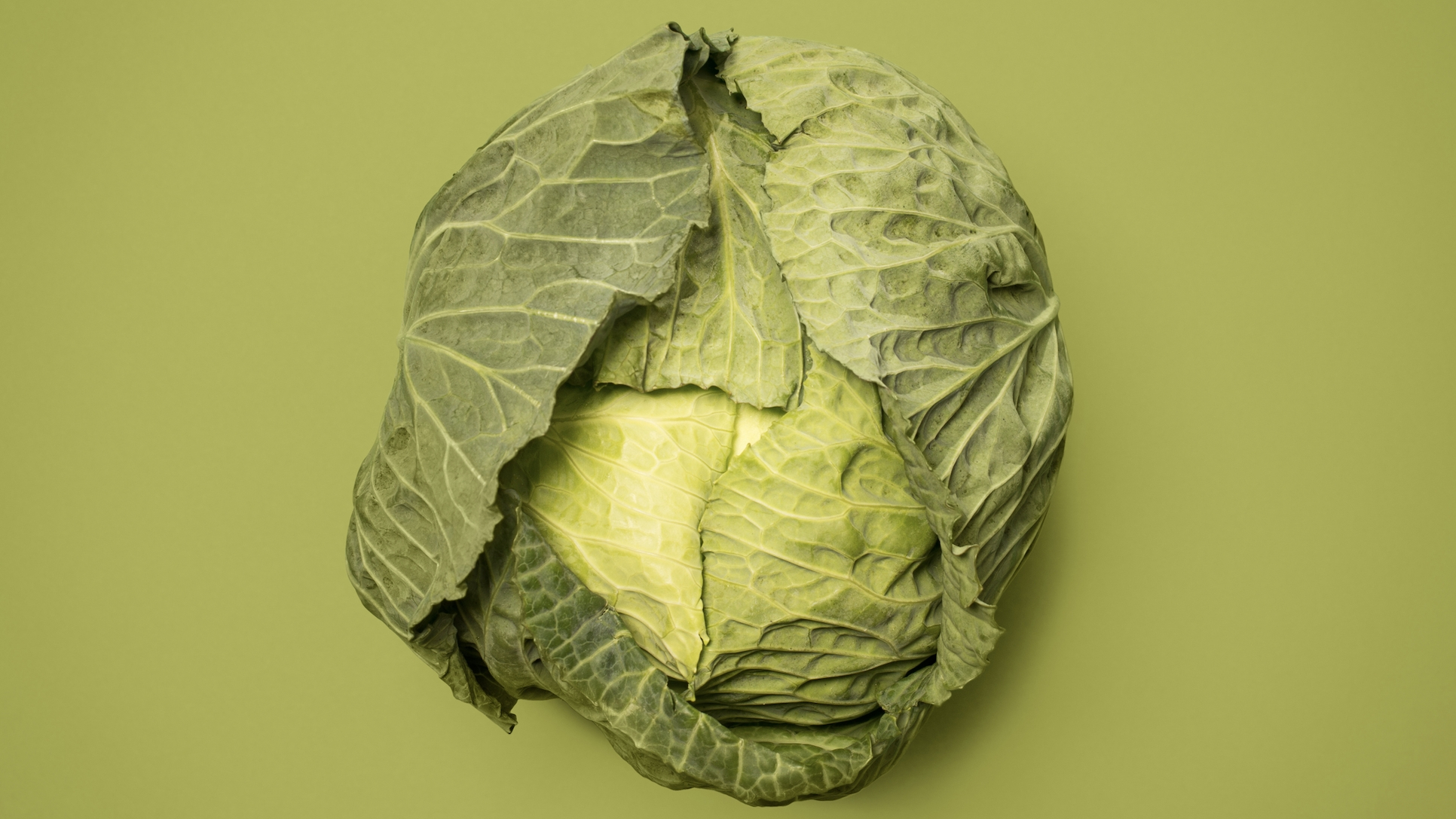 양배추의 부작용 및 주의사항