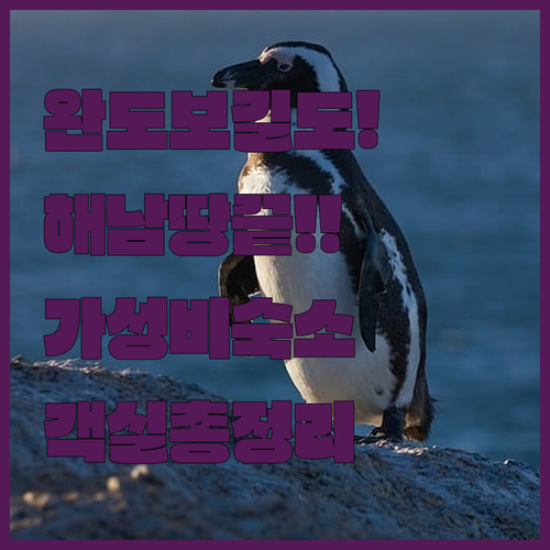 남도 여행 완도 보길도 펜션과 해남 ..