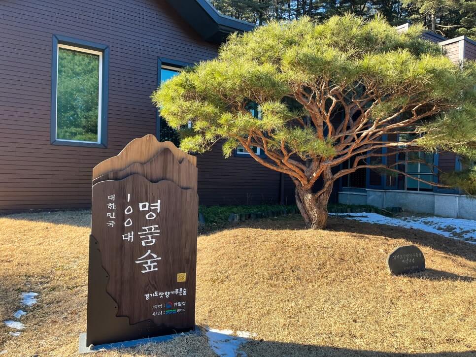 산림청 명품숲길 겨울 트레킹 : 가평 잣향기 피톤치드길 코스&middot;주차&middot;팁