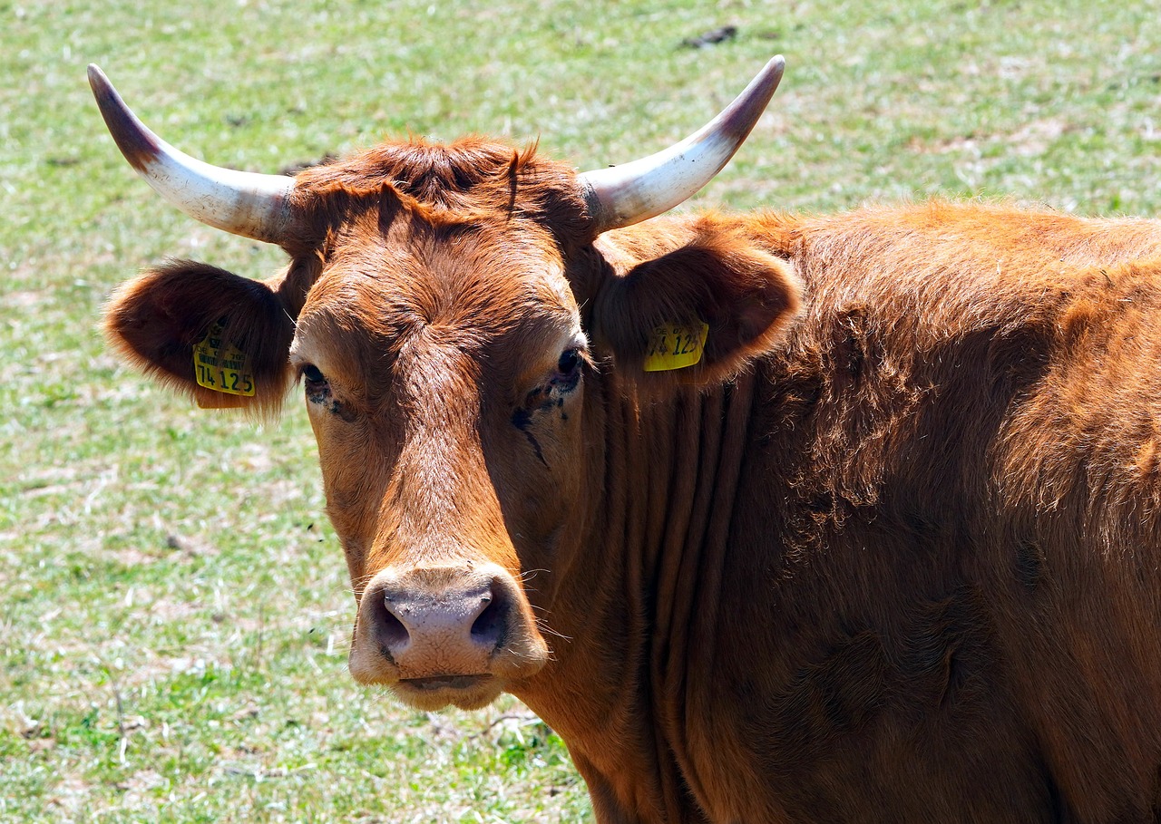 축산직 기출복원