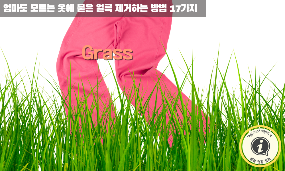 잔디나 풀의 얼룩 제거하는 방법