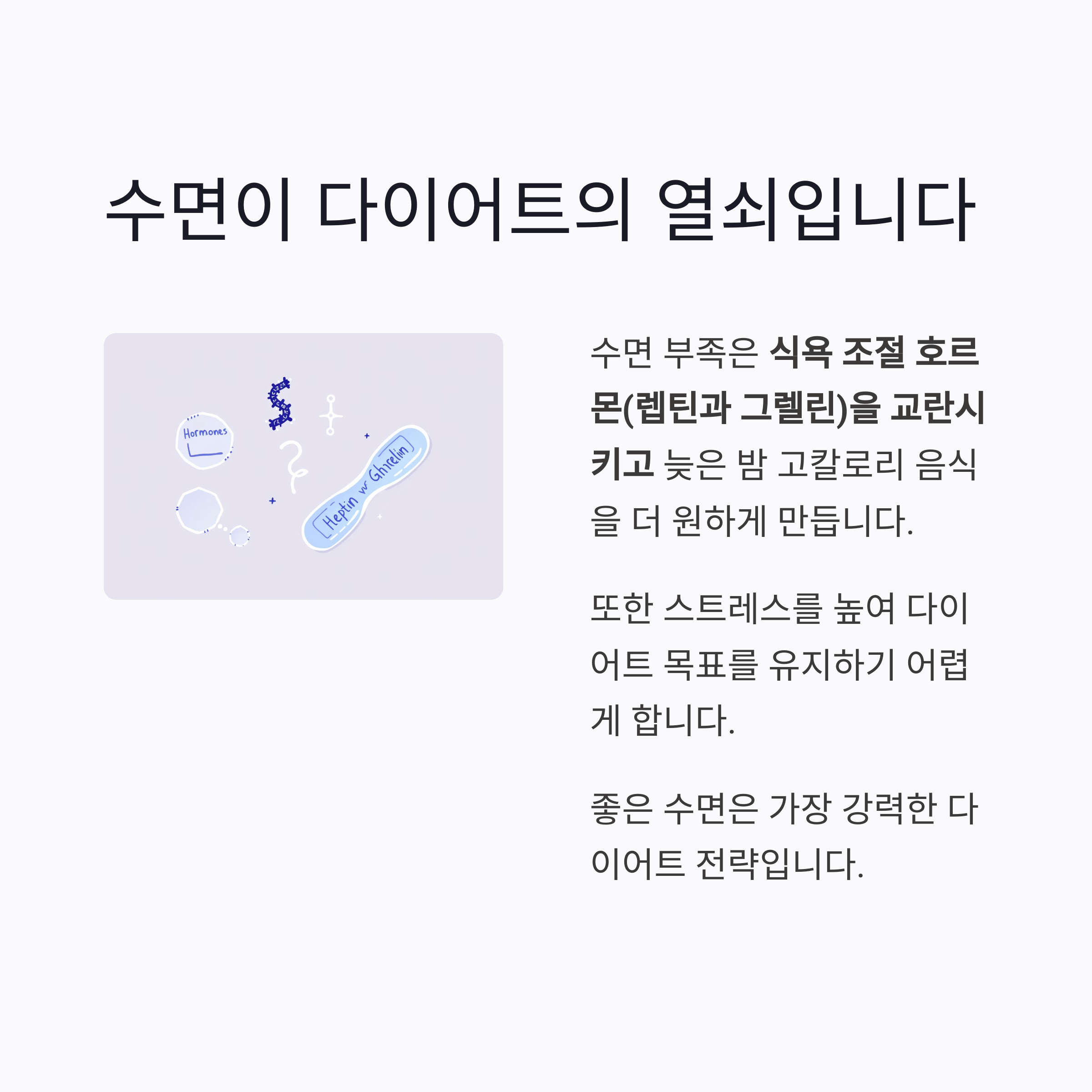 다이어트 실패의 진짜 이유