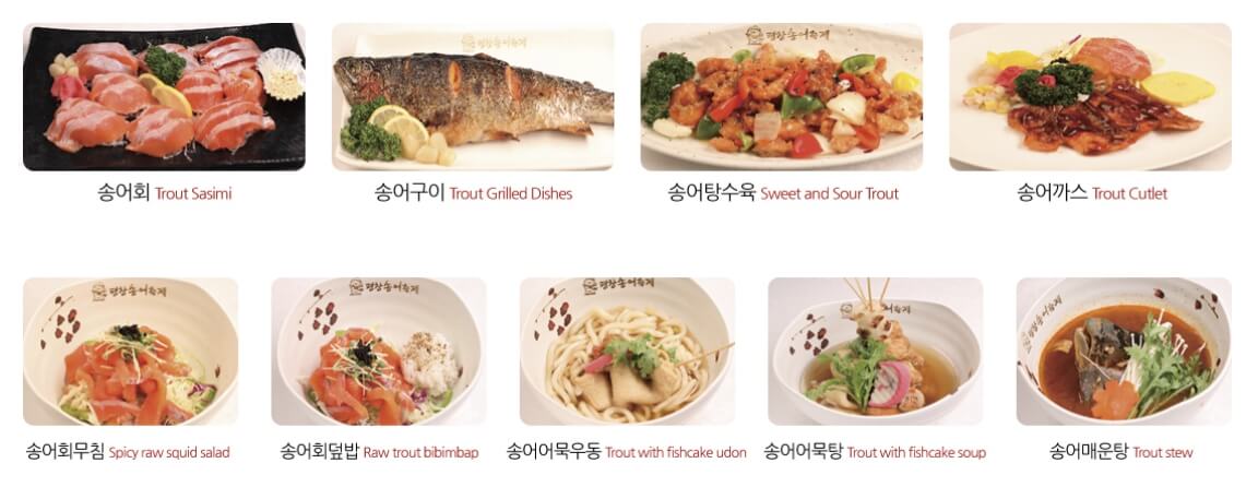 2023 겨울 평창송어 축제 즐기는 7가지 방법