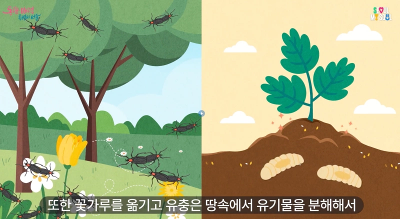 러브버그 장마