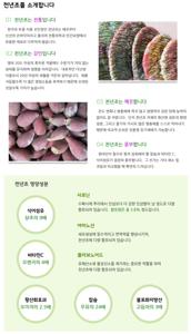천년초 열매