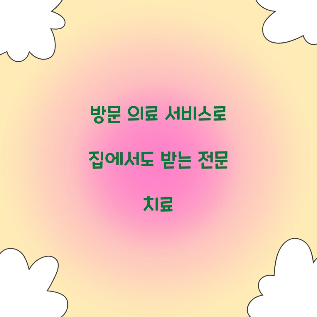 방문 의료 서비스