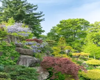 아침고요수목원_4