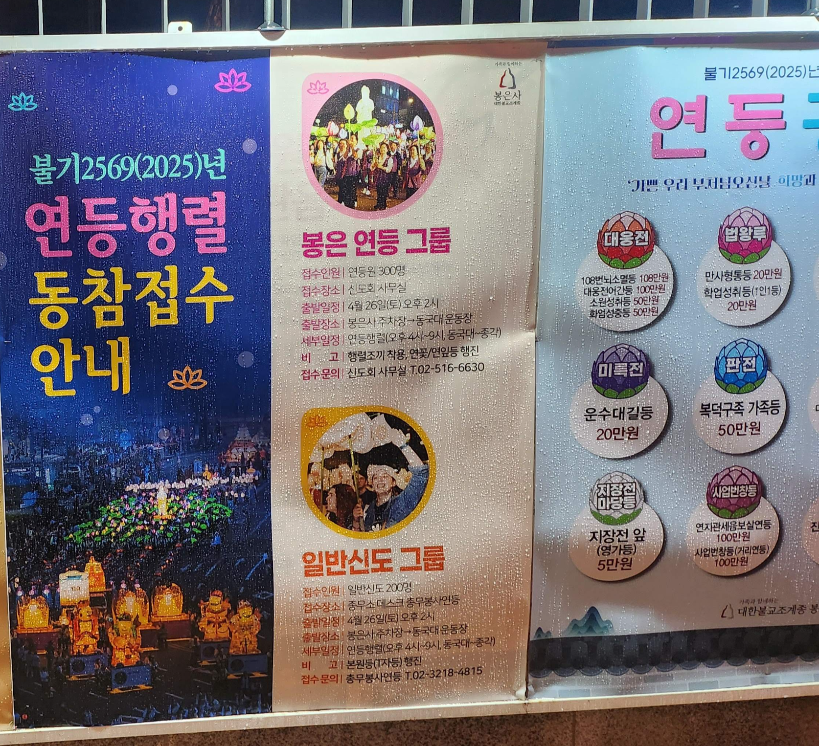 2025. 4. 19. 봉은사 연등제 야경 산책 후기 (겹벚꽃, 라일락, 홍매화 개화상황 포함)