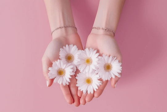 분홍색 바탕화면에 여자의 두 손이 내밀어졌고 손바닥 가득 하얀 소국꽃들이 있다.