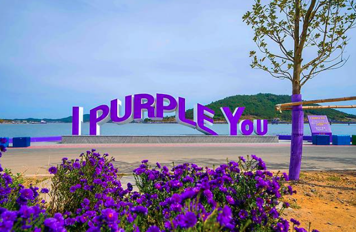 2025 퍼플섬 라벤더 축제