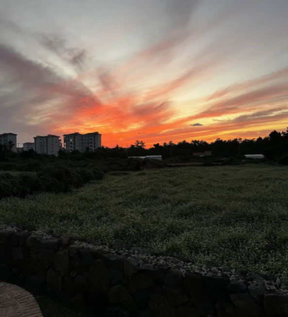 마당에서 감상한 아름다운 석양