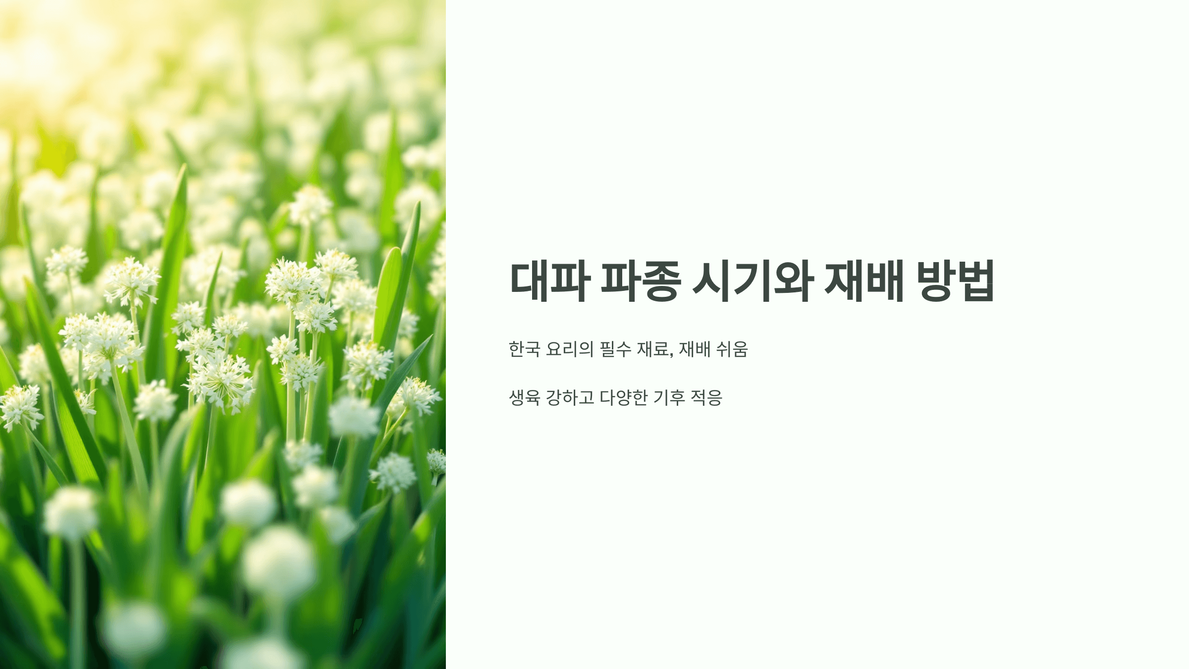 대파 사진입니다.