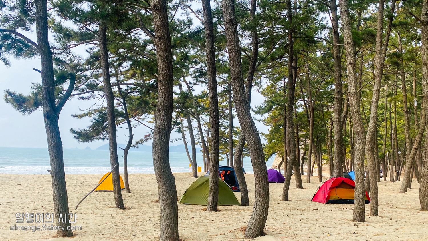 #12 태안 갈음이 해수욕장 백패킹_바람에 텐트 날아간 썰 #오즈의 알맹이 - undefined - 그럼 시작! #12 태안 갈음이 해수욕장 백패킹_바람에 텐트 날아간 썰 #오즈의 알맹이 - undefined - 그럼 시작!