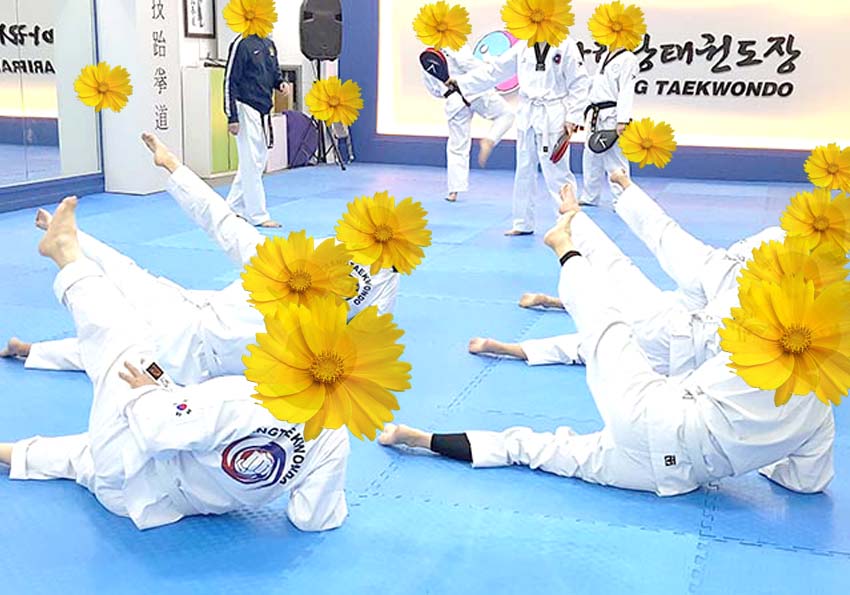 금계국 꽃보다 태권도