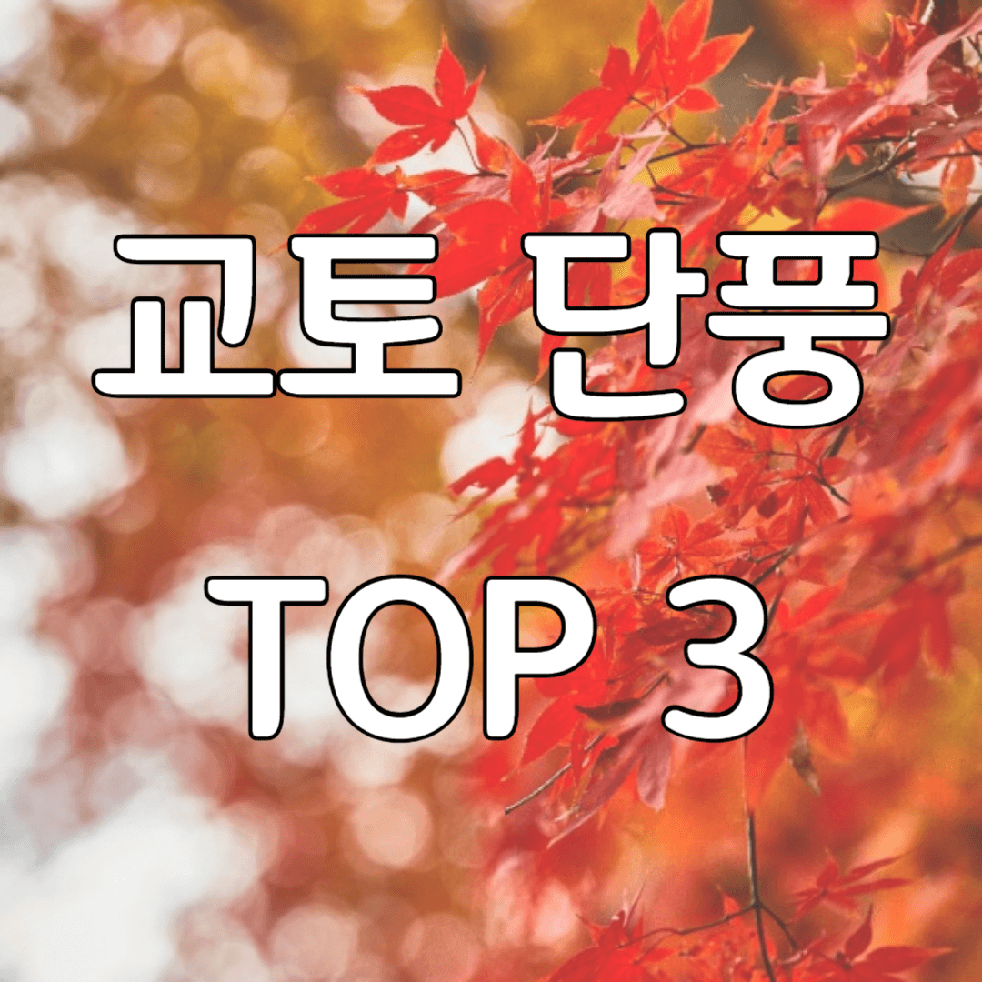 교토 단풍 BEST 3 썸네일