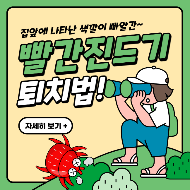 빨간진드기 퇴치법 물리면 증상 치료 예방방법 완벽정리