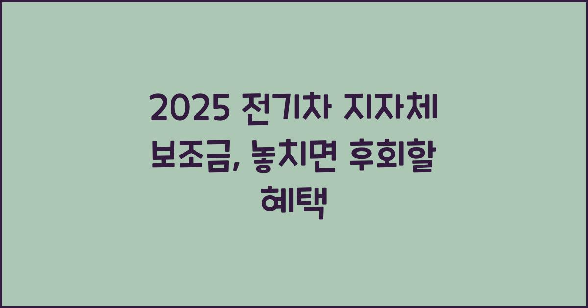 2025 전기차 지자체 보조금