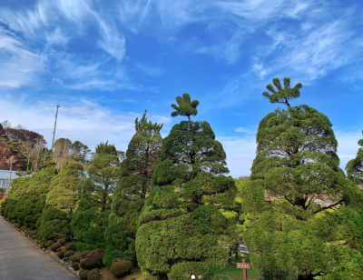 베어트리파크 단풍축제 기간 입장료 할인받기