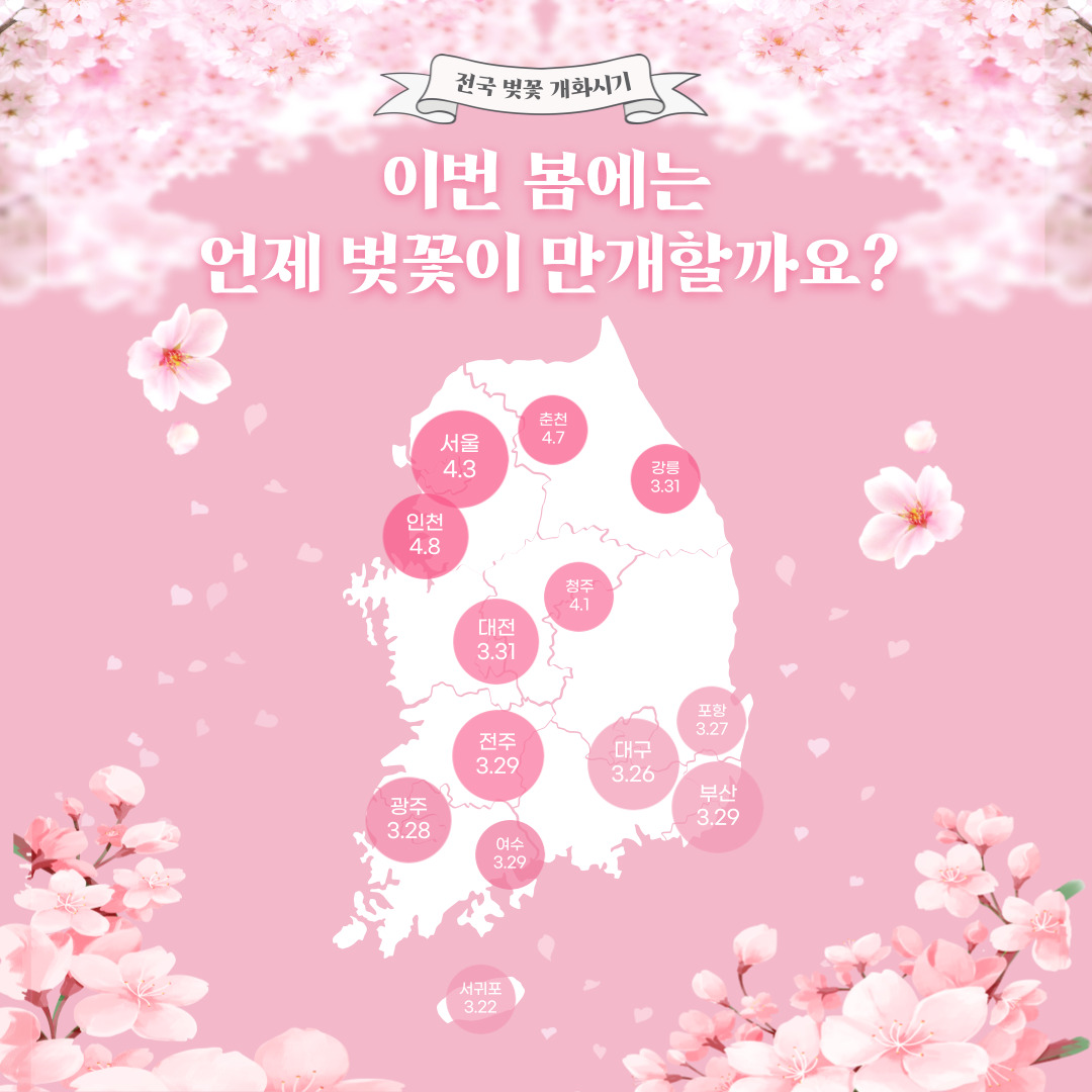 벚꽃-개화시기