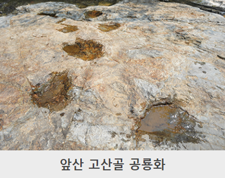 대구 앞산 등산코스