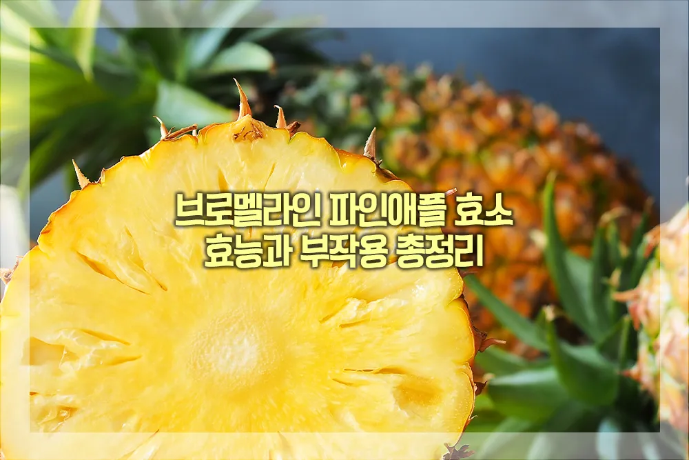 브로멜라인 파인애플 효소 효능 부작용