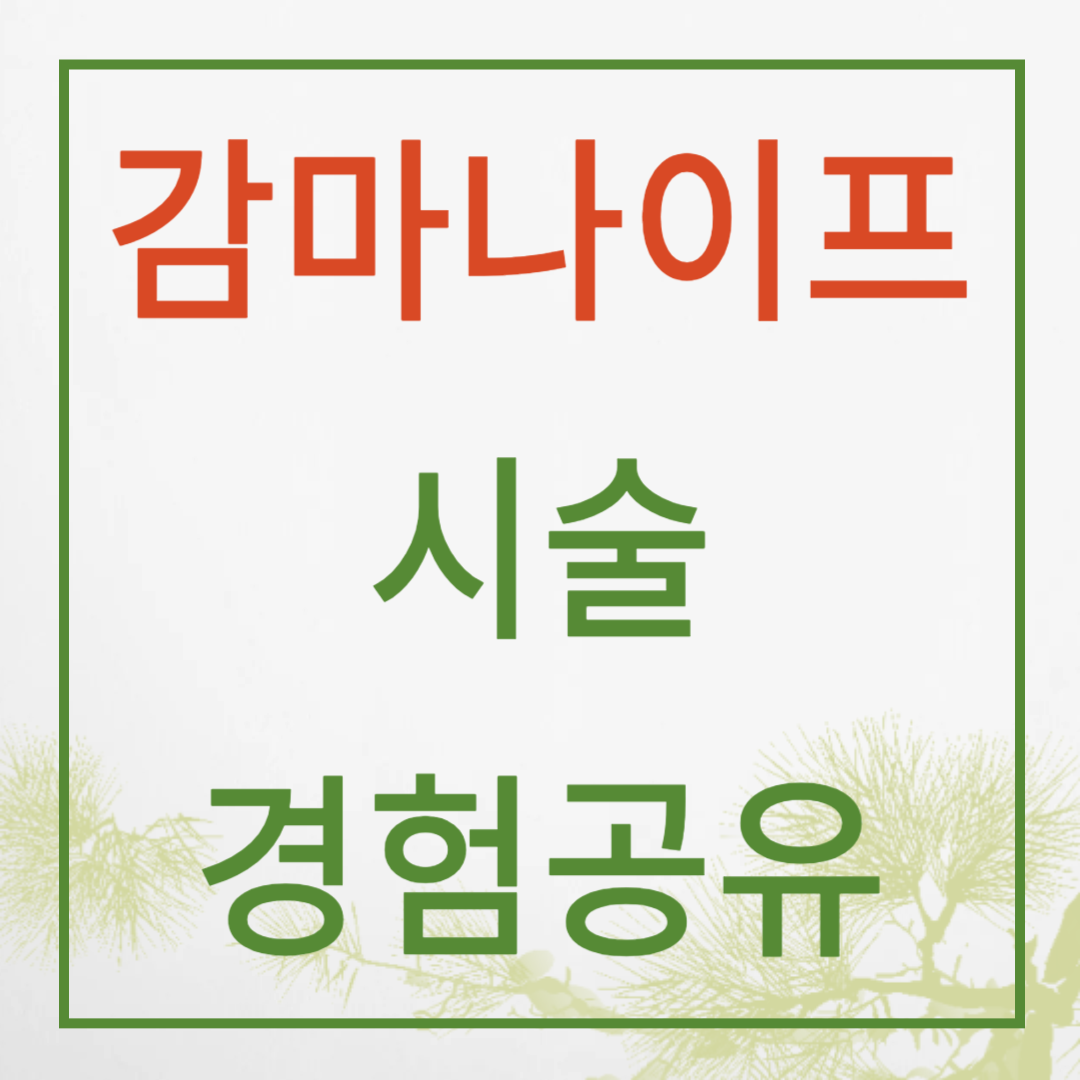 감마나이프시술경험공유
