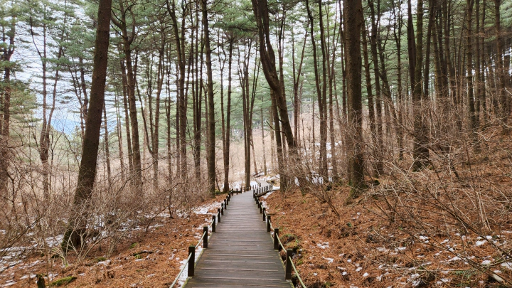 화전민 마을에서 흔들다리 돌아 내려오는 가평잣향기푸른숲 산책 코스