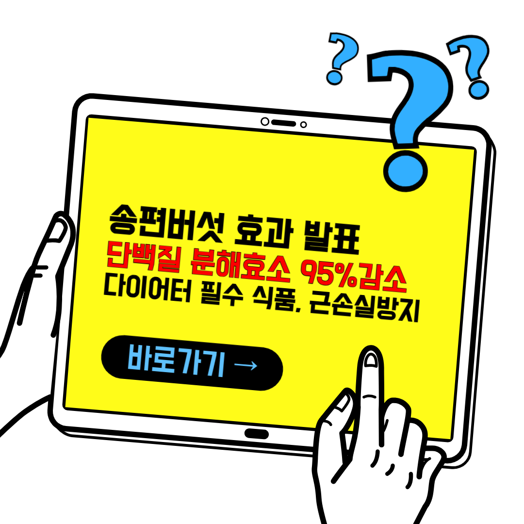 다이어트 식품 추천 송편버섯(근손실 방지)