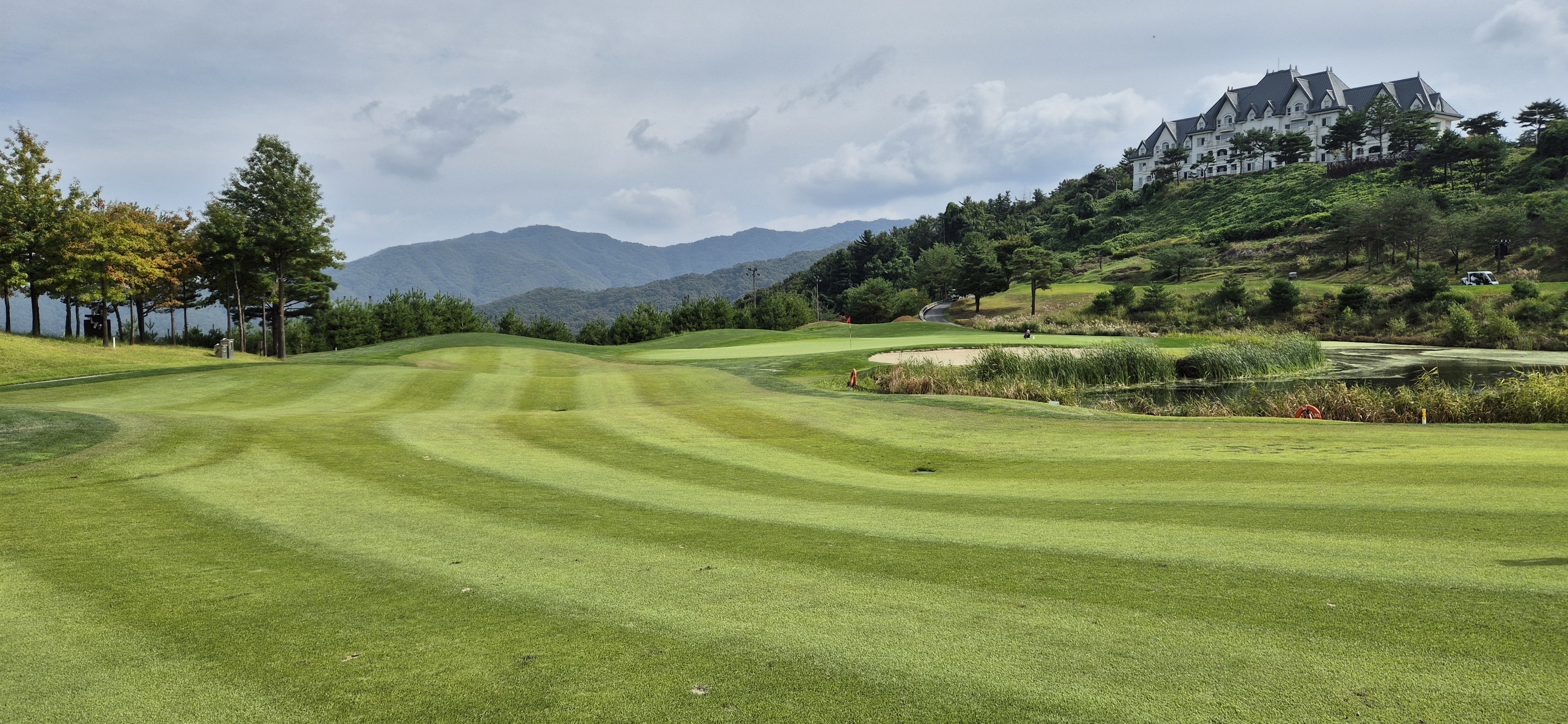 소노펠리체cc이스트