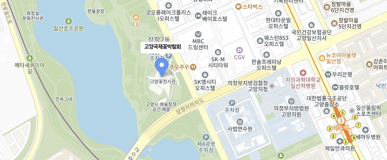 고양 꽃 박람회 가는길, 주차장
