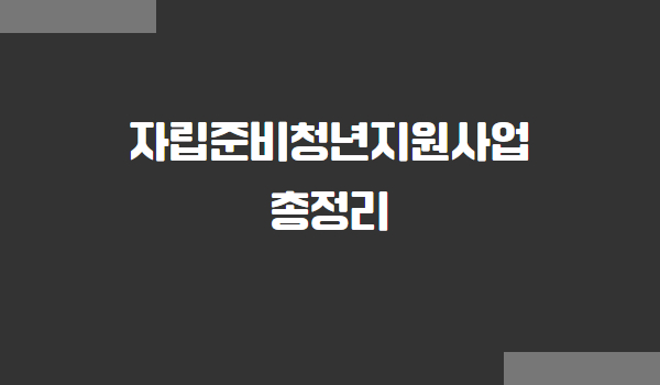 자립준비청년지원사업 지원 대상, 프로그램, 신청 방법