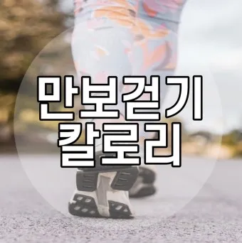 걷기 칼로리 계산기 걸음수 소비 칼로리_2