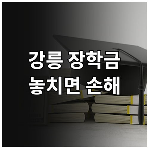 강릉시 자립장학금 2025 완벽 가이..