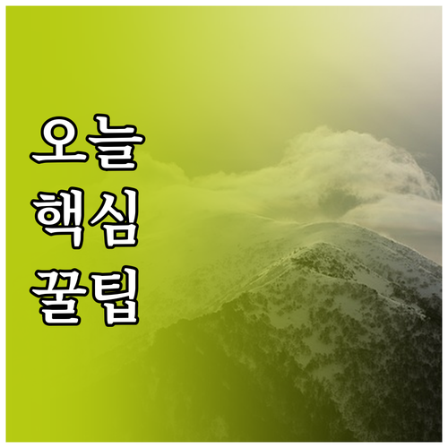 해외 여행 안전 지킴이! 여행자보험 ..