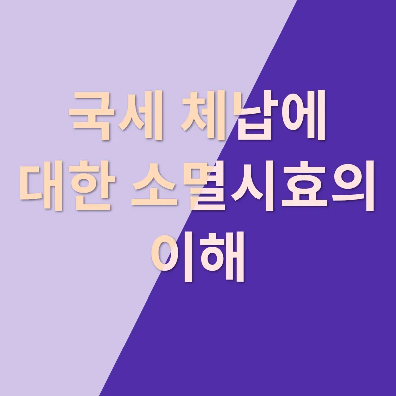 국세 체납 소멸시효_1